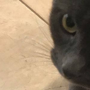 Meet your Posher, Chenoa